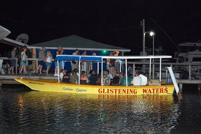 Luminous Lagoon Night Tour from Montego Bay - The Sum Up