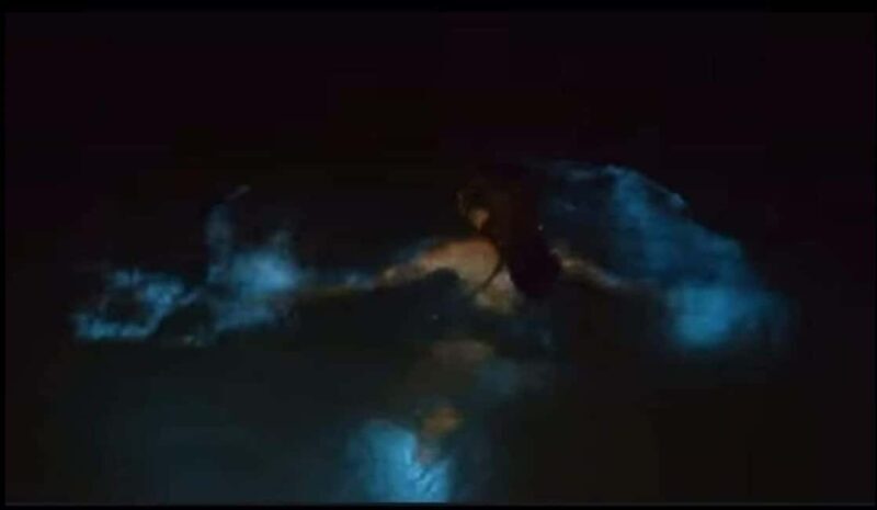 Luminous lagoon : Night Tour from Ocho Rios and Runaway Bay - Introduction