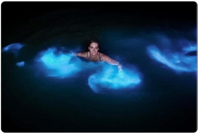Luminous lagoon : Night Tour from Ocho Rios and Runaway Bay - Detailed Tour Itinerary and Experience