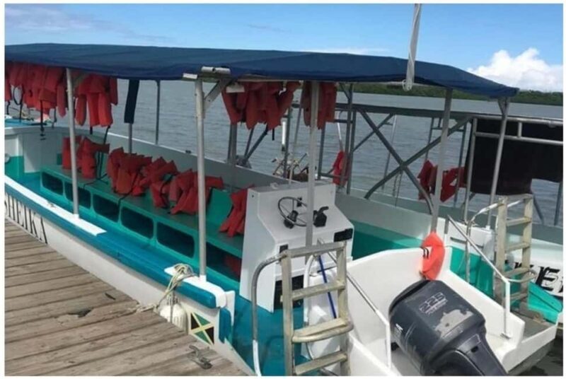 Luminous lagoon : Night Tour from Ocho Rios and Runaway Bay - What the Reviews Say