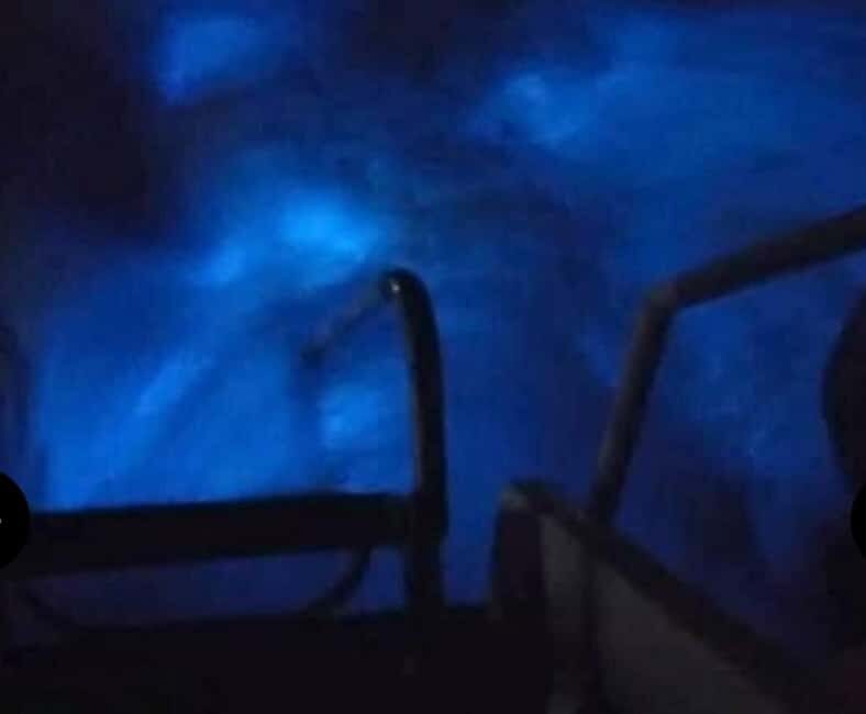 Luminous lagoon : Night Tour from Ocho Rios and Runaway Bay - Analyzing the Value and Practicalities