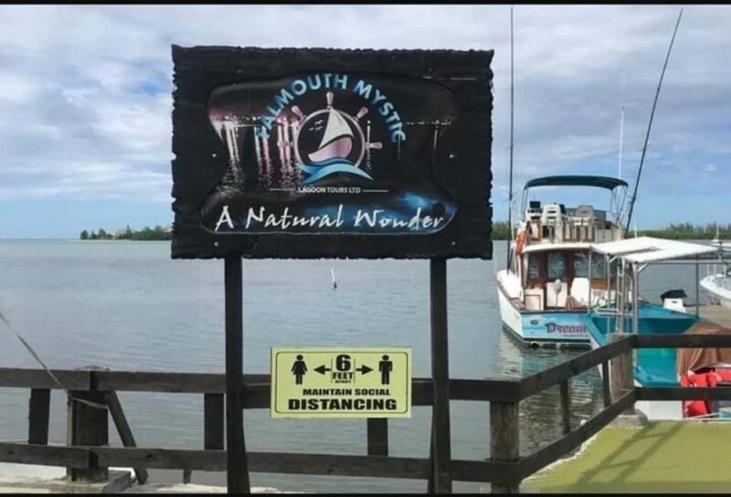 Luminous lagoon : Night Tour from Ocho Rios and Runaway Bay - Who Will Love This Tour?