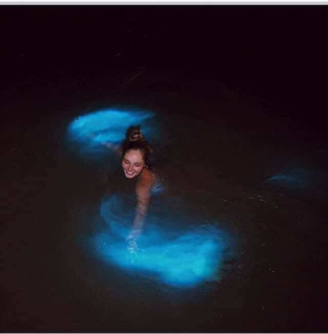 Luminous lagoon : Night Tour from Ocho Rios and Runaway Bay - The Sum Up