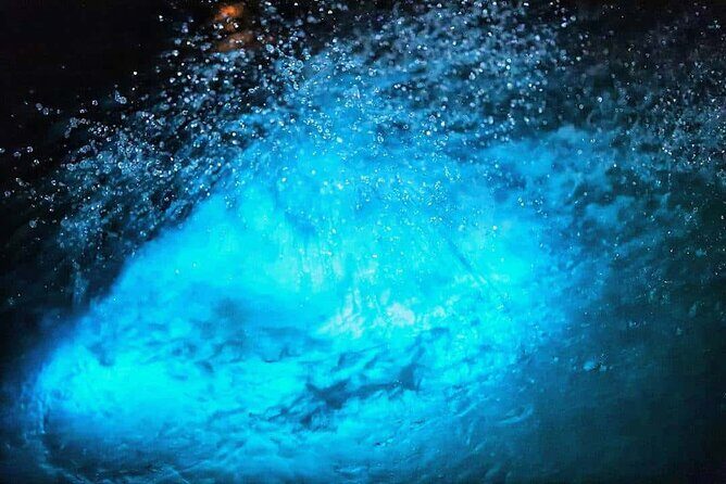 Luminous lagoon Night Tour Montego Bay - Return Trip and Reflection