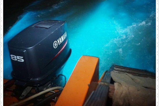 Luminous Lagoon Tour - What the Tour Offers: An In-Depth Look