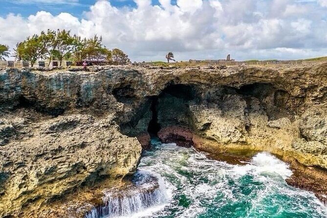 Lunch At Animal Flower Cave with Scenic Drive of Barbados - Practical Details and Tips