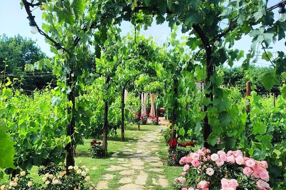 Lunch in the Garden and Wine Tasting - Key Points