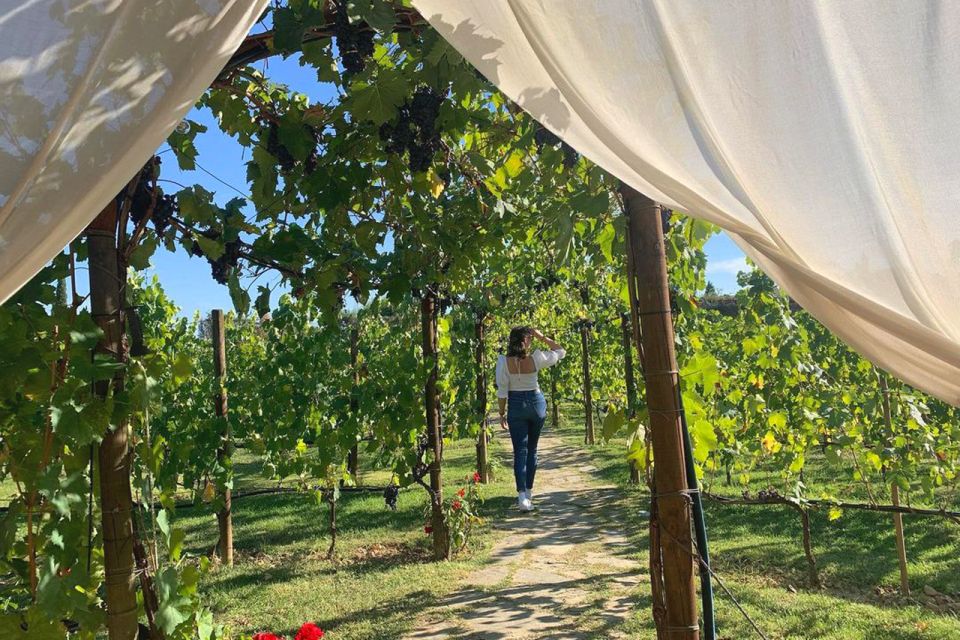 Lunch in the Garden and Wine Tasting - Included in the Package