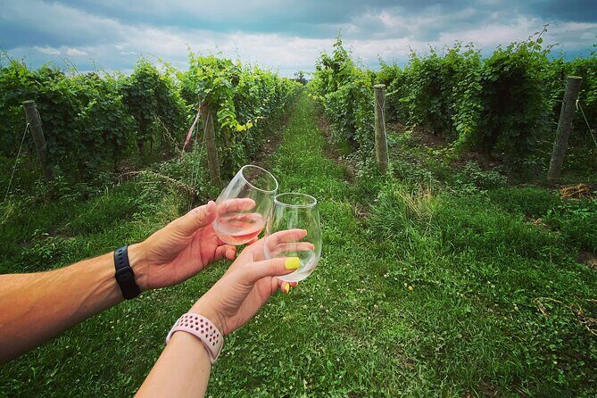 Lunch in the Vineyard: A Scenic Niagara Wine Tour Experience - Who Will Love This Tour?