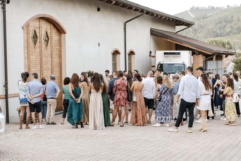 Lunch in the Vineyard in Alba - A Closer Look at the Tour Experience