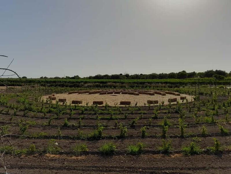 Lunch or dinner, wine tasting in the countryside of Noto - Frequently Asked Questions