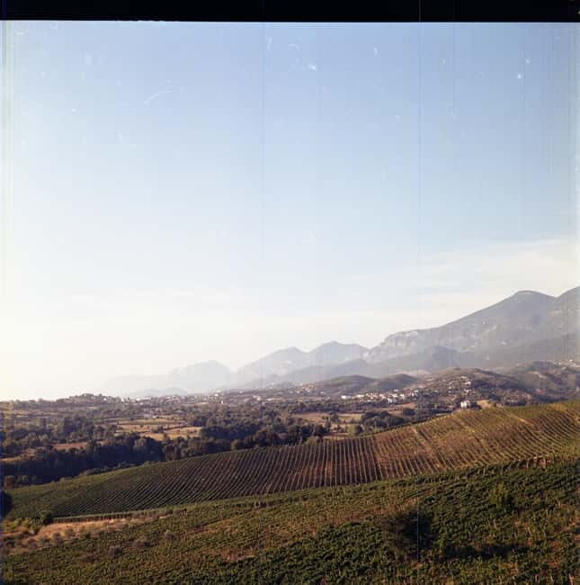 Lundër: Lundra Winery Guided Tour with Wine Tasting - Key Points