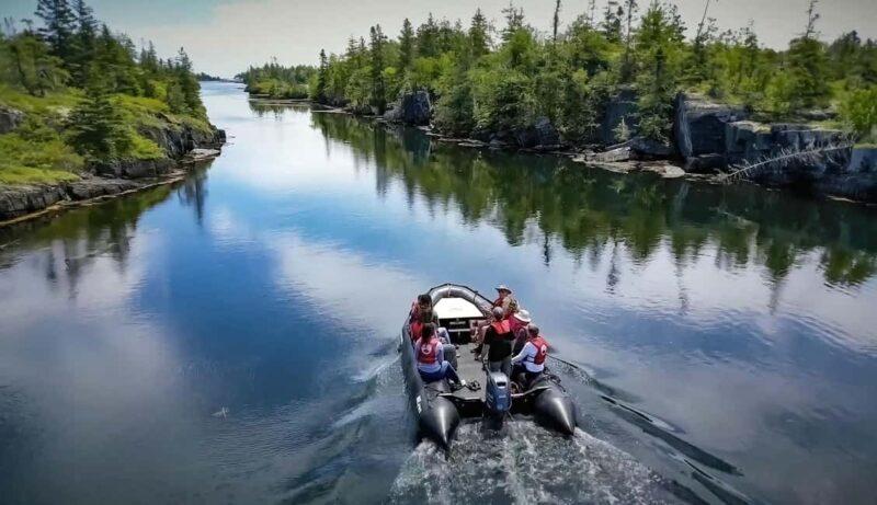 Lunenburg: Zodiac Wildlife Tour with Naturalist Guide - The Itinerary: What’s In Store