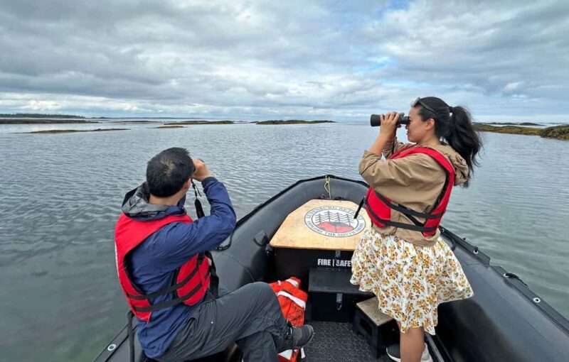 Lunenburg: Zodiac Wildlife Tour with Naturalist Guide - Final Thoughts: Is It Worth It?