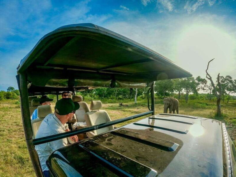 Lunugamwehera NP (Block VI) Morning Safari Game Drive - Frequently Asked Questions