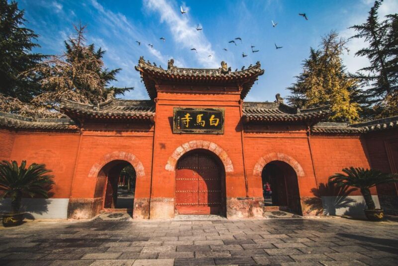 Luoyang: Longmen Grottoes and White Horse Temple Guided Tour - Statues and Carvings
