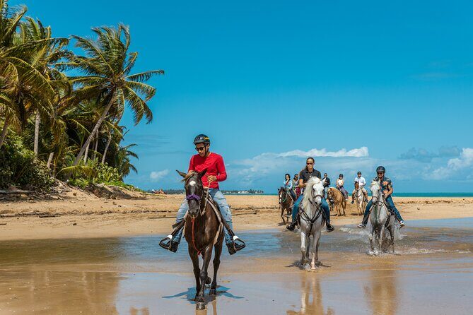 Luquillo Beach Horse Ride from Carabalí Rainforest Adventure Park - Key Points