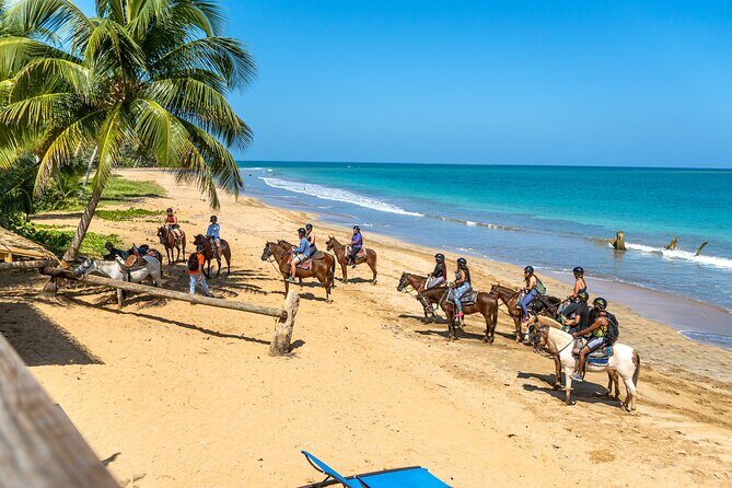 Luquillo Beach Horse Ride from Carabalí Rainforest Adventure Park - Detailed Review of the Experience