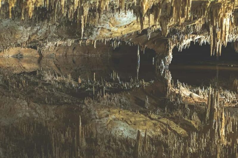 Luray Caverns Half-Day Small Group Experience from DC - Return Journey and Reflection