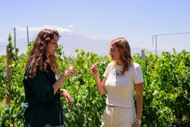 Lusarat: Givany Winery Tour & Tasting Experience - Who Will Love This Experience?