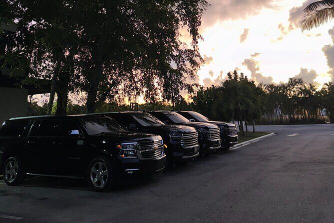 Luxe Black Car Transfer Cap Cana, Bavaro & Punta Cana Airport - Follow-Up and Feedback: Customer-Centric Approach