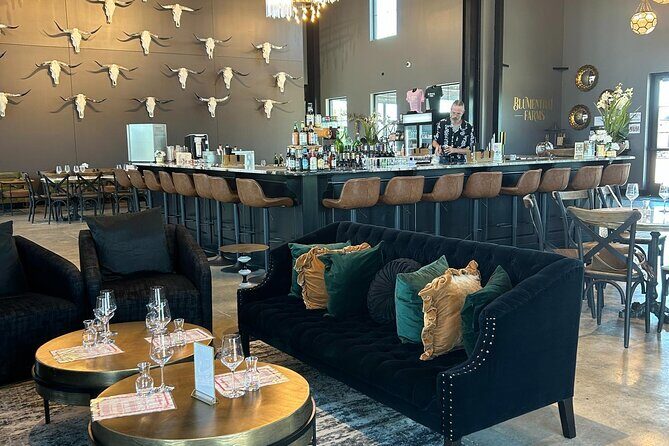 Luxe Hill Country Private Wine Adventure with Gourmet Lunch - Who Should Consider This Tour?