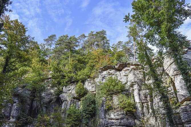 Luxembourg Private 1-Day Tour - Customer Experiences