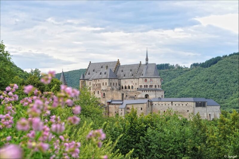 Luxembourg: Vianden Castle Entry Ticket - Panoramic Views