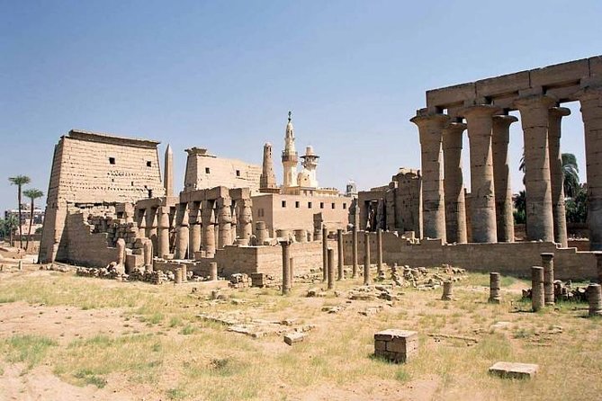 Luxor Private Day Tour From Hurghada With a Private Tour Guide - Highlights of the Experience