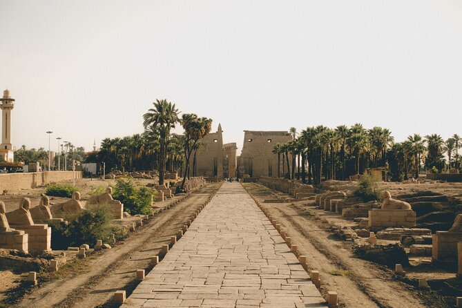 Luxor Private Day Tour From Makadi With Private Tour Guide - Health and Accessibility