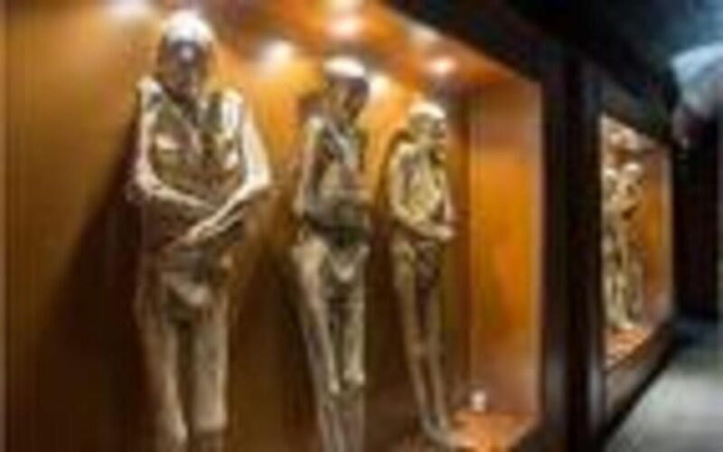 Luxor Private Tour: Luxor Museum & Mummification Museum. - Inclusions and Exclusions