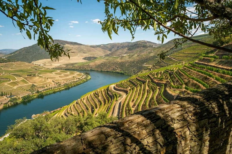 Luxurious Daytrip Lisbon to Douro Valley with Optional Stops - An In-Depth Look at the Experience