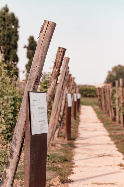 Luxurious Wine Experience: Savor Venetian Best Vineyards - FAQ About the Venetian Wine Experience