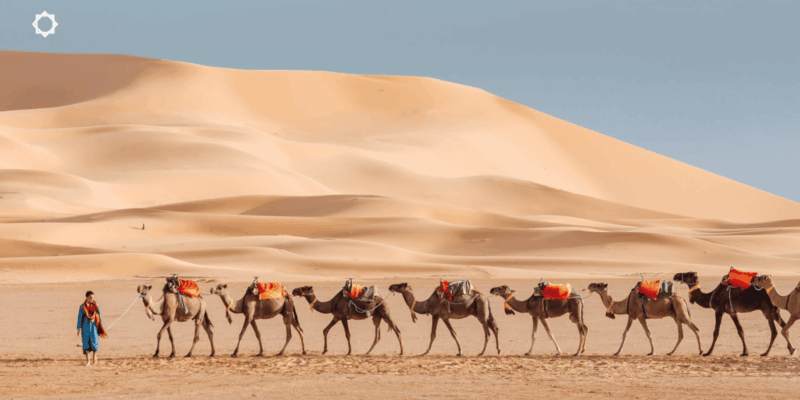 Luxury 3-Day Desert Trip From Marrakesh to Fez - Experience Highlights