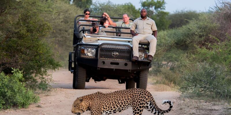 Luxury 4 Day Kruger Park All Inclusive Safari From Joburg! - Itinerary Highlights