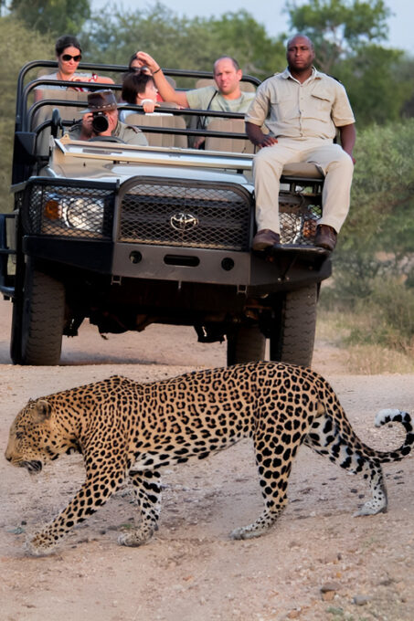 Luxury 4 Day Kruger Park All Inclusive Safari From Joburg! - Exclusive Elephant Encounter