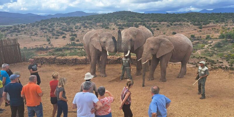 LUXURY 5-DAY GARDEN ROUTE GETAWAY - Culinary and Dining Experiences