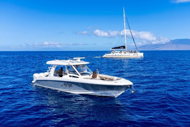 Luxury 6 passenger Boston Whaler Private Charter - The Cost and Value