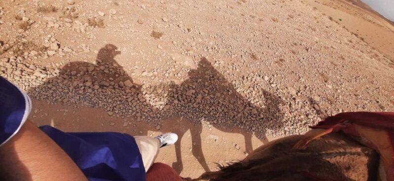 Luxury Agafay Piscine, Camel, Quad, Dinner, Show, SunseT - Good To Know