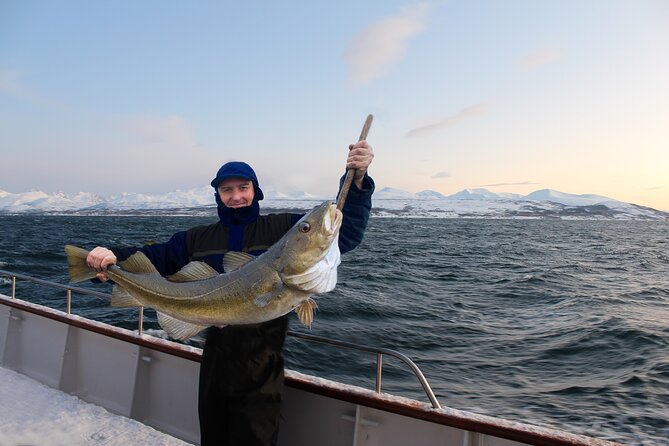 Luxury Arctic Fishing Trip and Seafood Fjord Cruise in Tromsø - Mastering the Art of Fishing