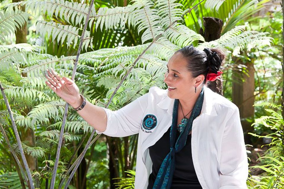 Luxury Auckland & West Coast Day Tour With Maori Guide - Tour Experience