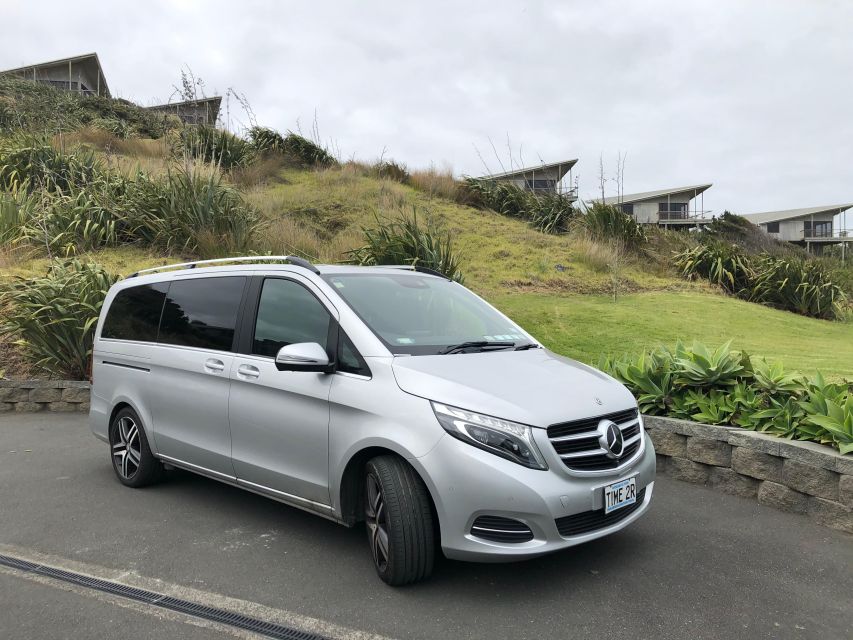 Luxury Auckland & West Coast Day Tour With Maori Guide - Customer Reviews