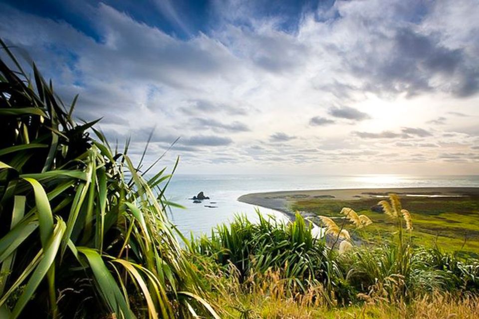 Luxury Auckland & West Coast Day Tour With Maori Guide - Maori Guide Benefits
