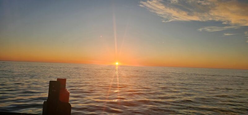 Luxury Boat Cruise From the V&A Waterfront - Encountering Marine Wildlife