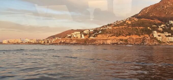 Luxury Boat Cruise From the V&A Waterfront - Customer Testimonials and Ratings