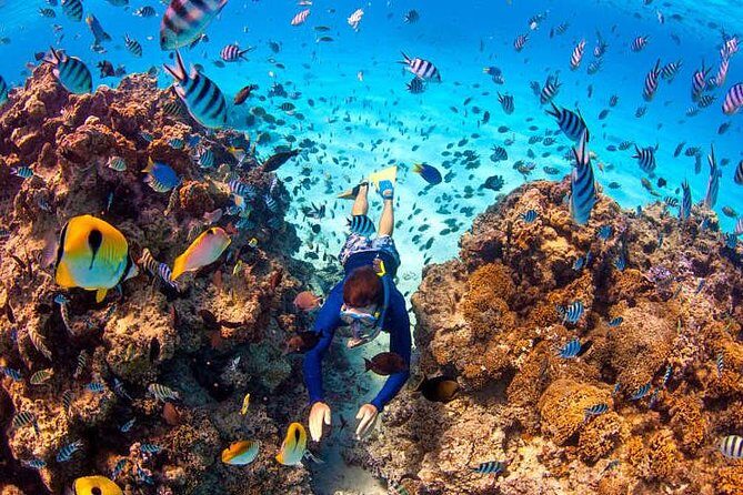 LUXURY Catamaran Bora Bora : Sailing, Snorkeling & Floating Bar - Why You Should Consider This Tour