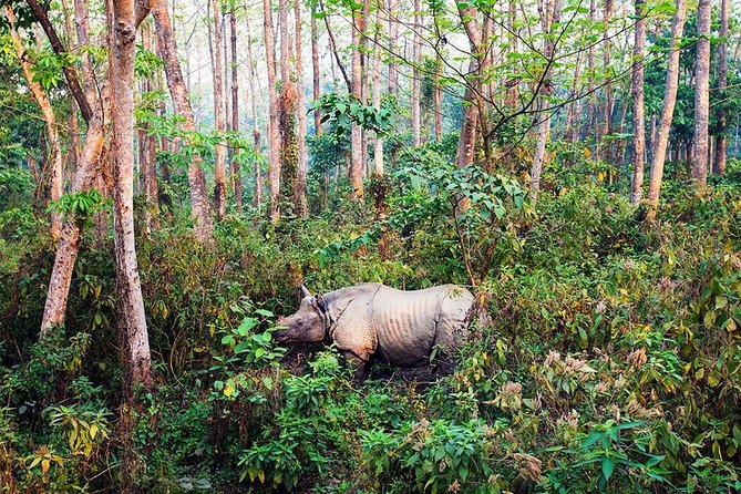 Luxury Chitwan Tour Package 2 Nights 3 Days From Kathmandu - Transportation Details