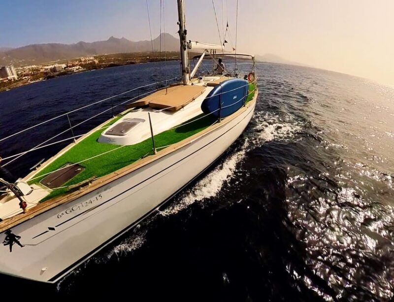 Luxury Dolphin Boat Excursions From Puerto Colon, Tenerife - Key Points