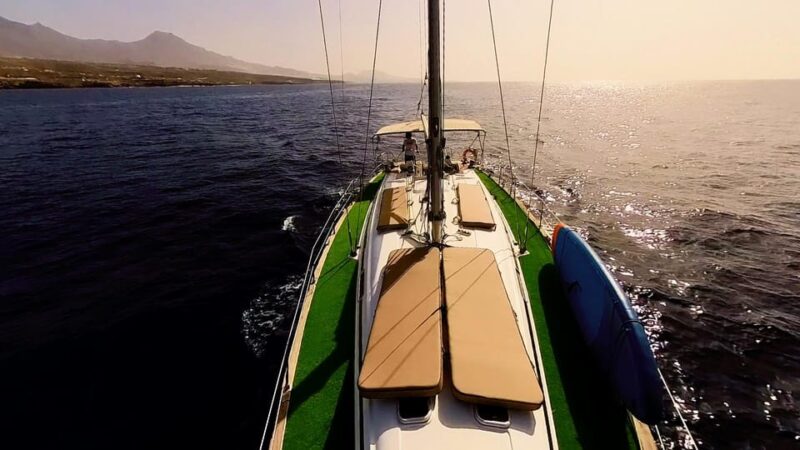 Luxury Dolphin Boat Excursions From Puerto Colon, Tenerife - Itinerary and Activities
