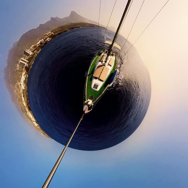 Luxury Dolphin Boat Excursions From Puerto Colon, Tenerife - Experience and Services